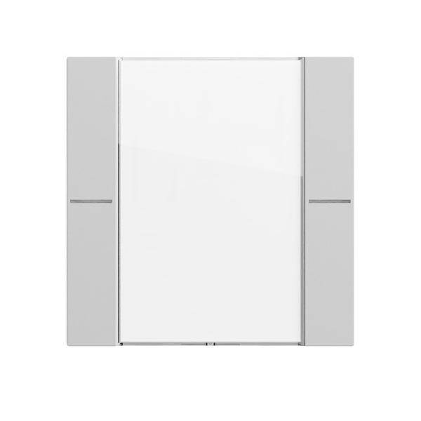 Gira Wippenset 1f BSF 577176