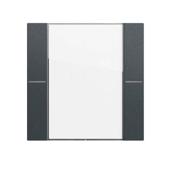 Gira Wippenset 1f BSF 577173