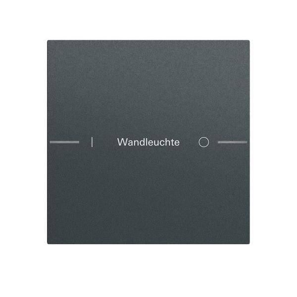Gira Wippenset 1f indiv. 576173
