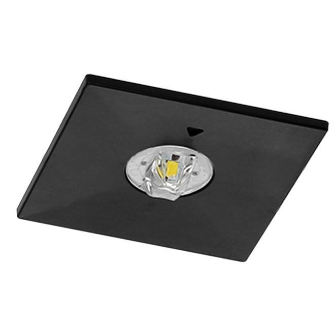 Fischer Sicherheitsleuchte B3EE15I2-B