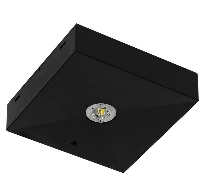 Fischer Sicherheitsleuchte B3DE15I2-B