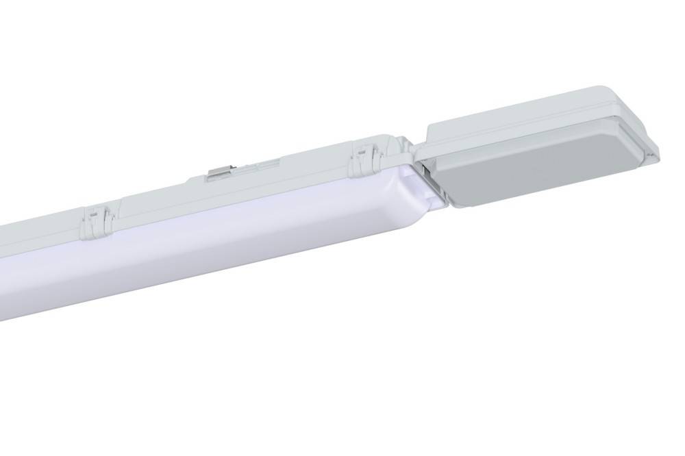 Schuch Licht LED-Notleuchte 161PX 06L12/1 H50 MA