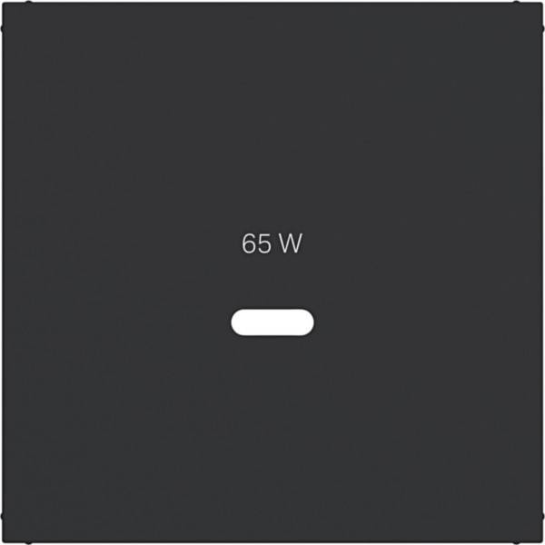 Hager Zentralst. f. USB-C PW WAF1511BM