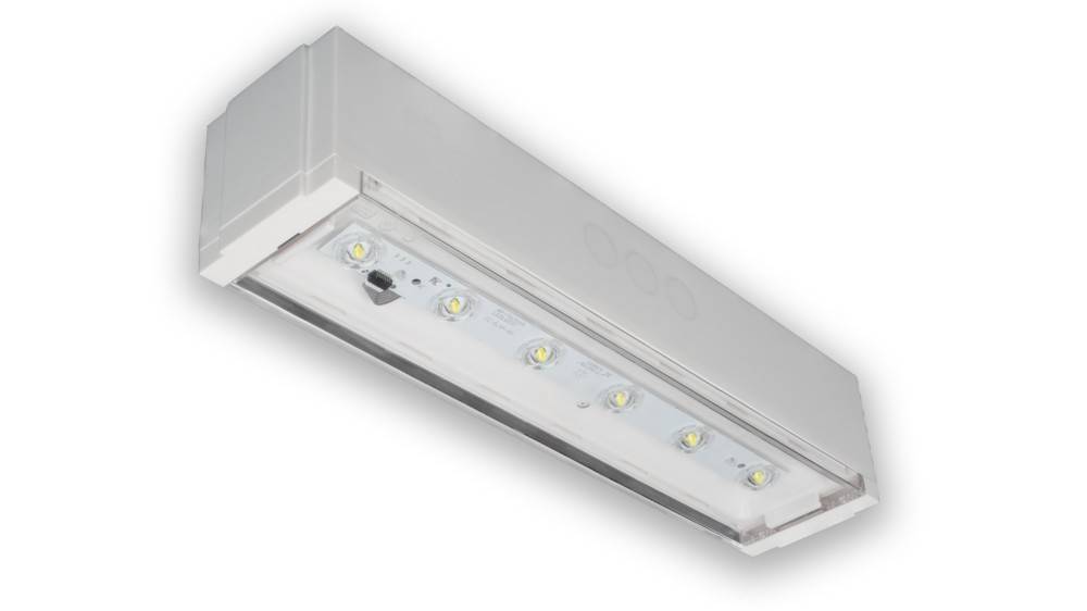 RP-Technik Sicherheitsleuchte PXDL029ML
