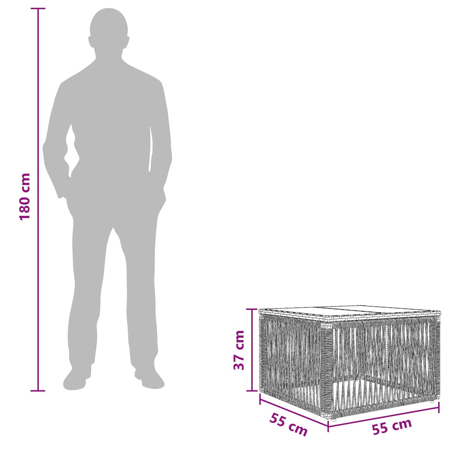 vidaXL Gartentisch Schwarz 55 x 55 x 37 cm PE Rattan und Glas