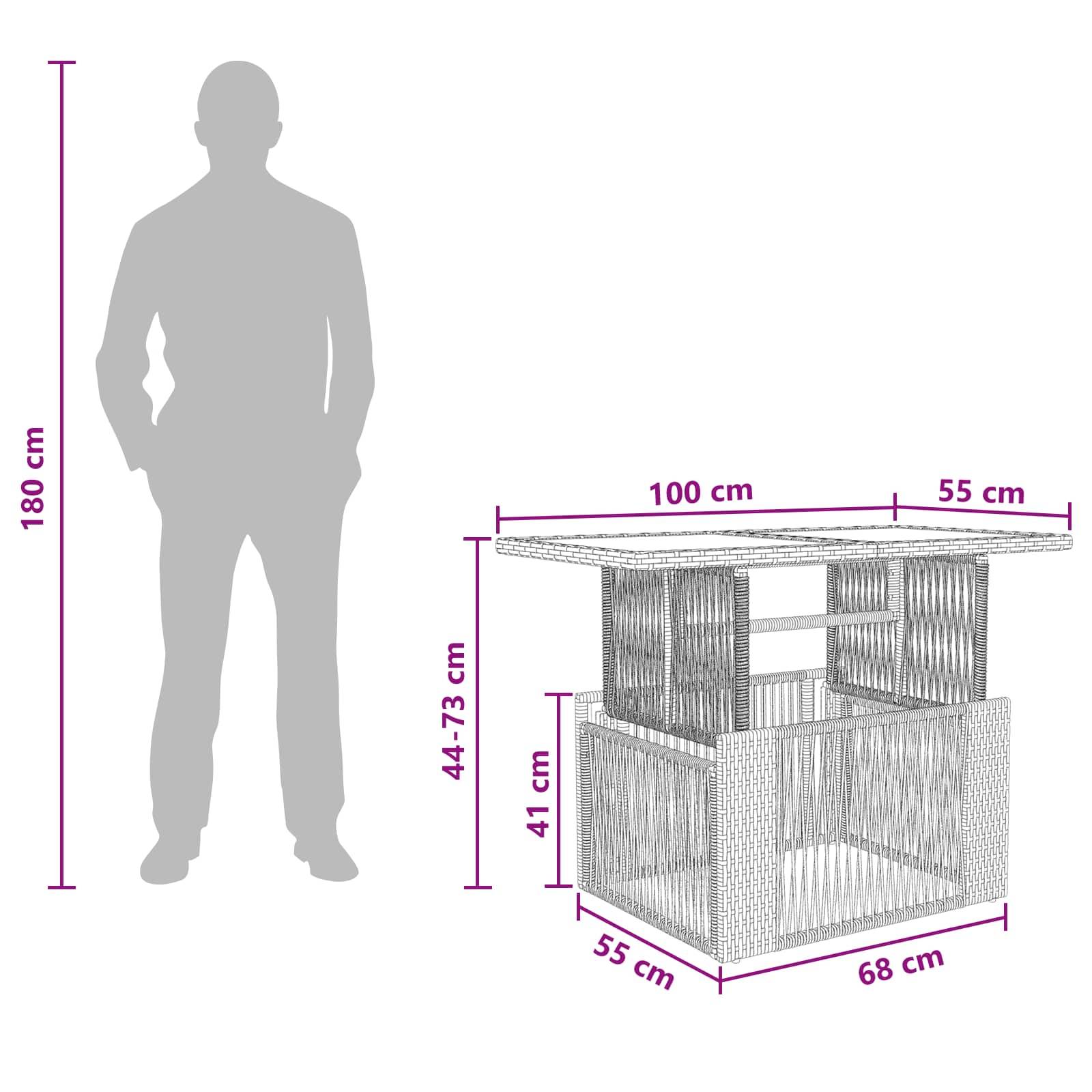 vidaXL Gartentisch Schwarz 100 x 55 x 37 cm PE Rattan und Glas