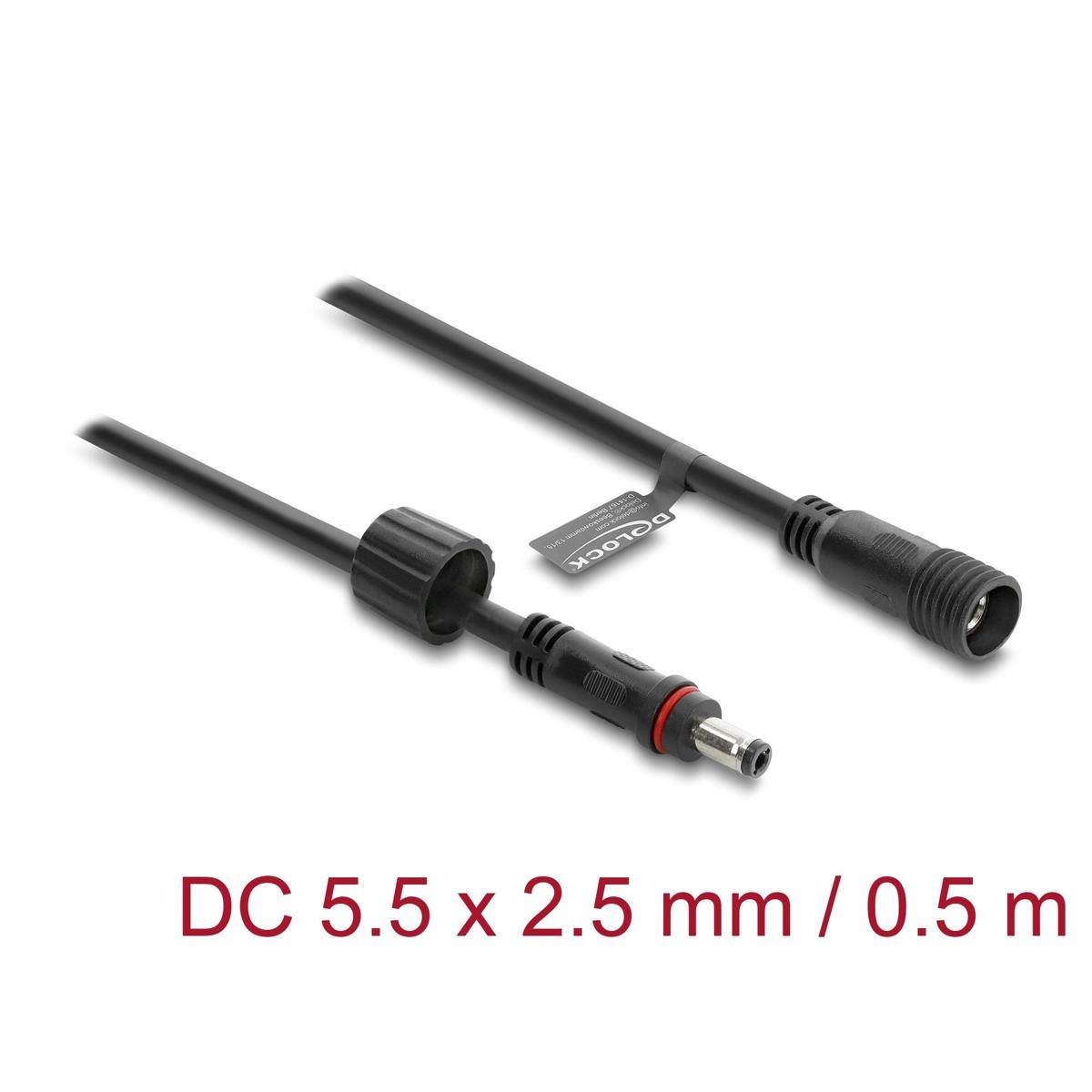 67385 - Delock DC Verlängerungskabel 5,5 x 2,5 mm Stecker zu Buchse mit Schraubverschluss M12 x 1,75 mm Gewinde wasserfest 18 AWG, 0,5 m schwarz