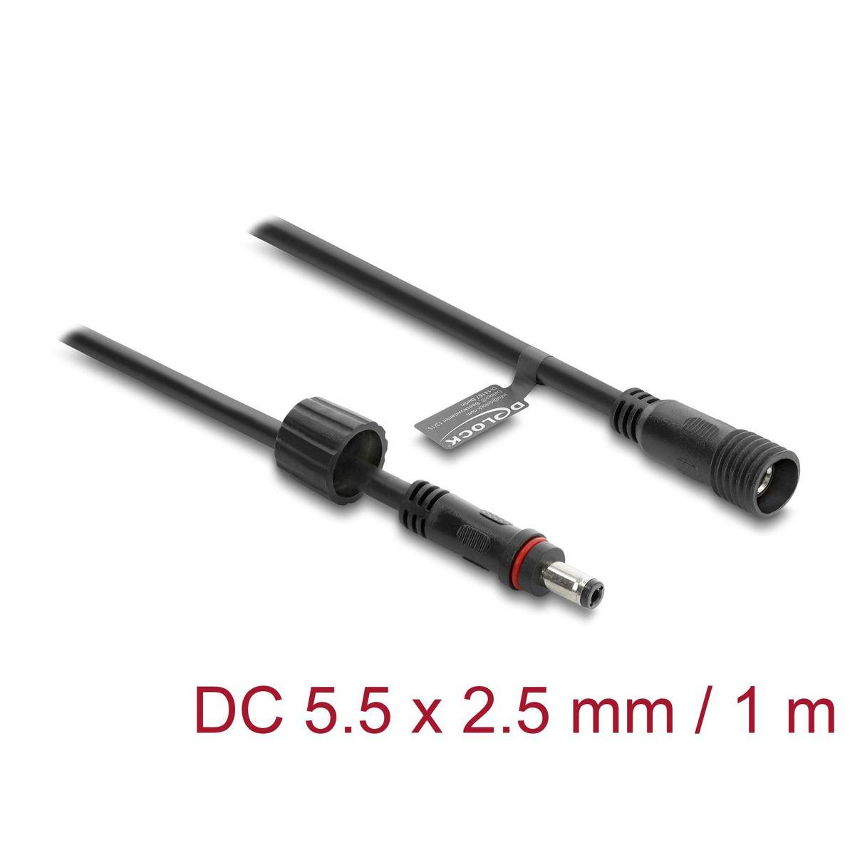 67386 - Delock DC Verlängerungskabel 5,5 x 2,5 mm Stecker zu Buchse mit Schraubverschluss M12 x 1,75 mm Gewinde wasserfest 18 AWG, 1 m schwarz