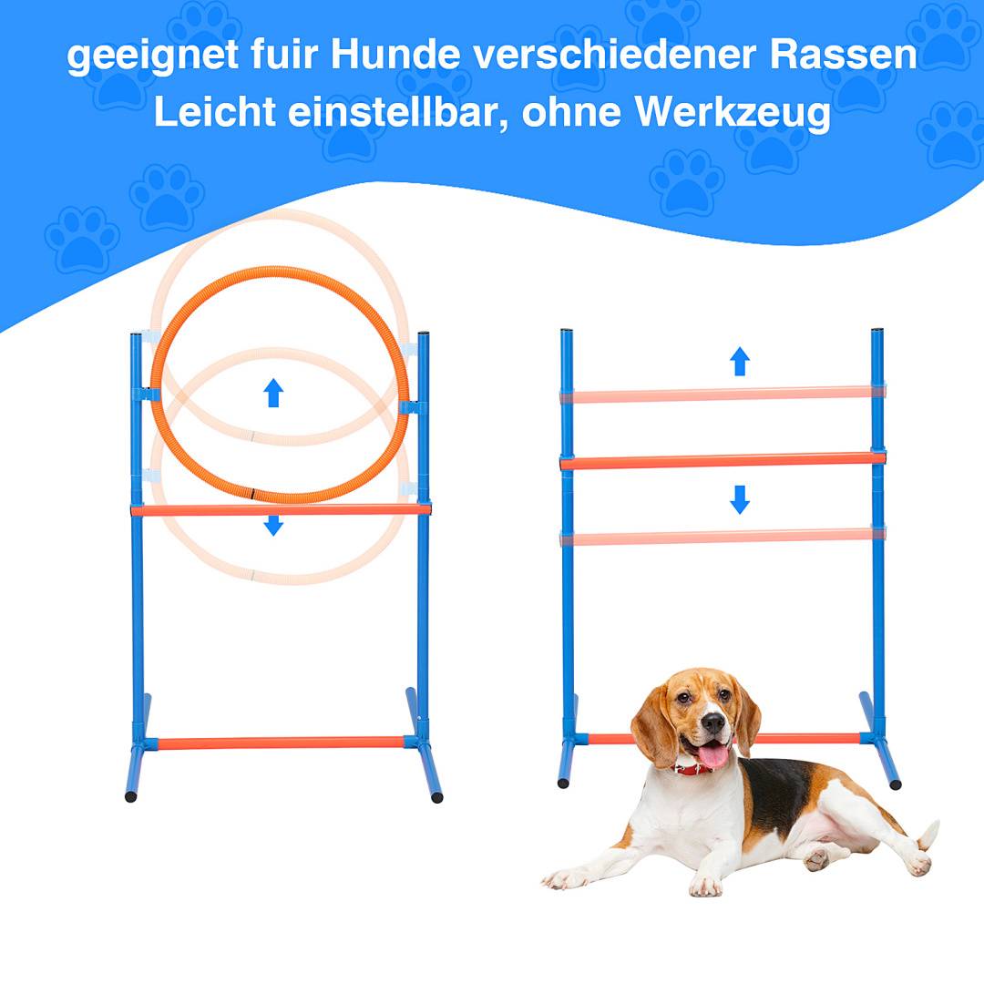 Hunde Agility Hundetraining Set Hundesport 5-tlg Training Tunnel Steckhürden-Set Ausstellungsleine Hürde Hürden