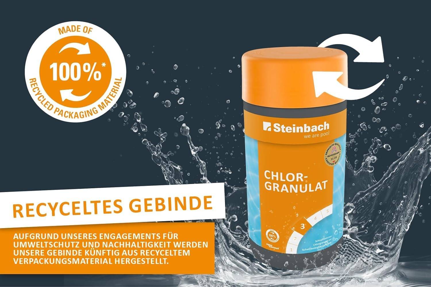 Steinbach | Poolpflege Test-Set | Chlorgranulat 1 KG & Testkit für pH-Wert/Chlor | ideal zur Wasserkontrolle, Erstdosierung & Schockbehandlung