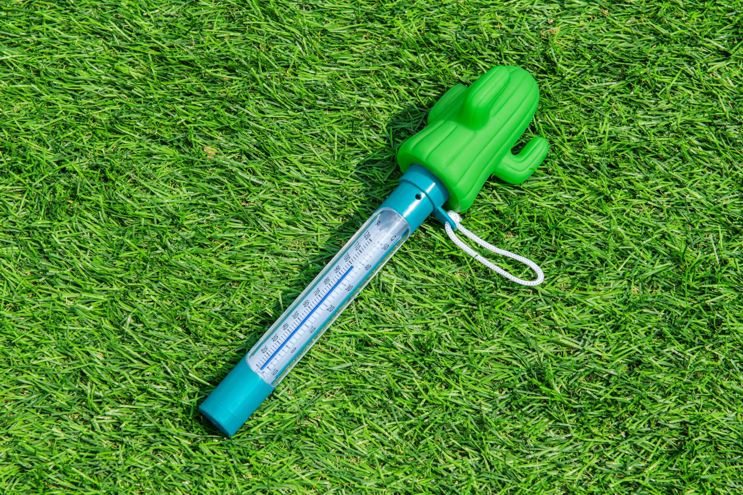 Bestway schwimmendes Poolthermometer Kaktus 8 x 6,5 x 25 cm