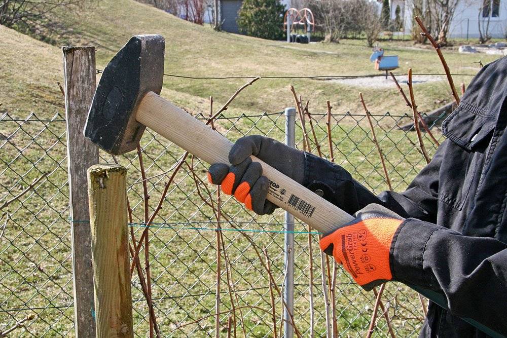 Kerbl 299613 Rattenfalle Luna im Sb Pack mit Holzauslöser