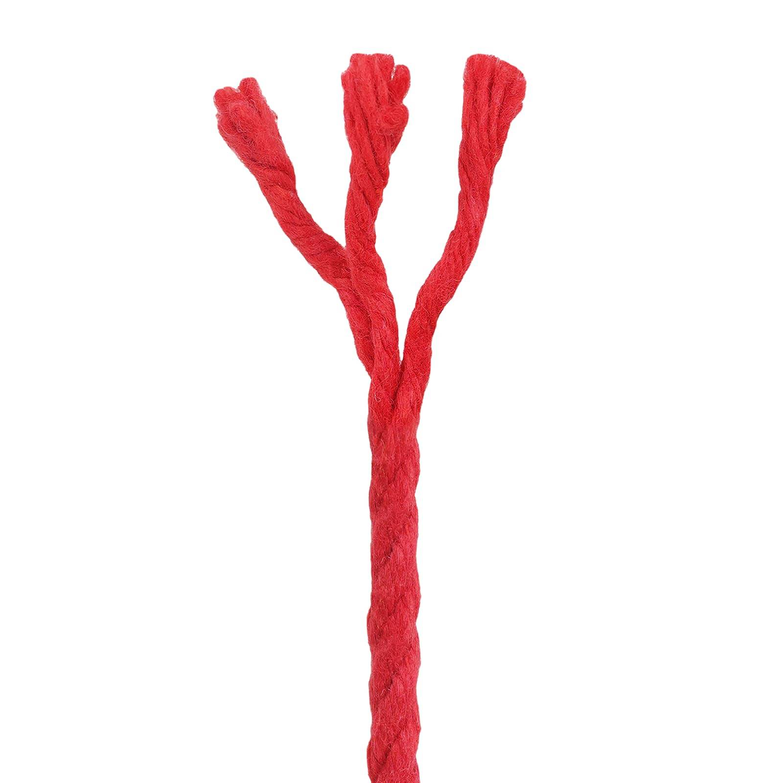vidaXL Seil 2 pcs Rot Baumwolle
