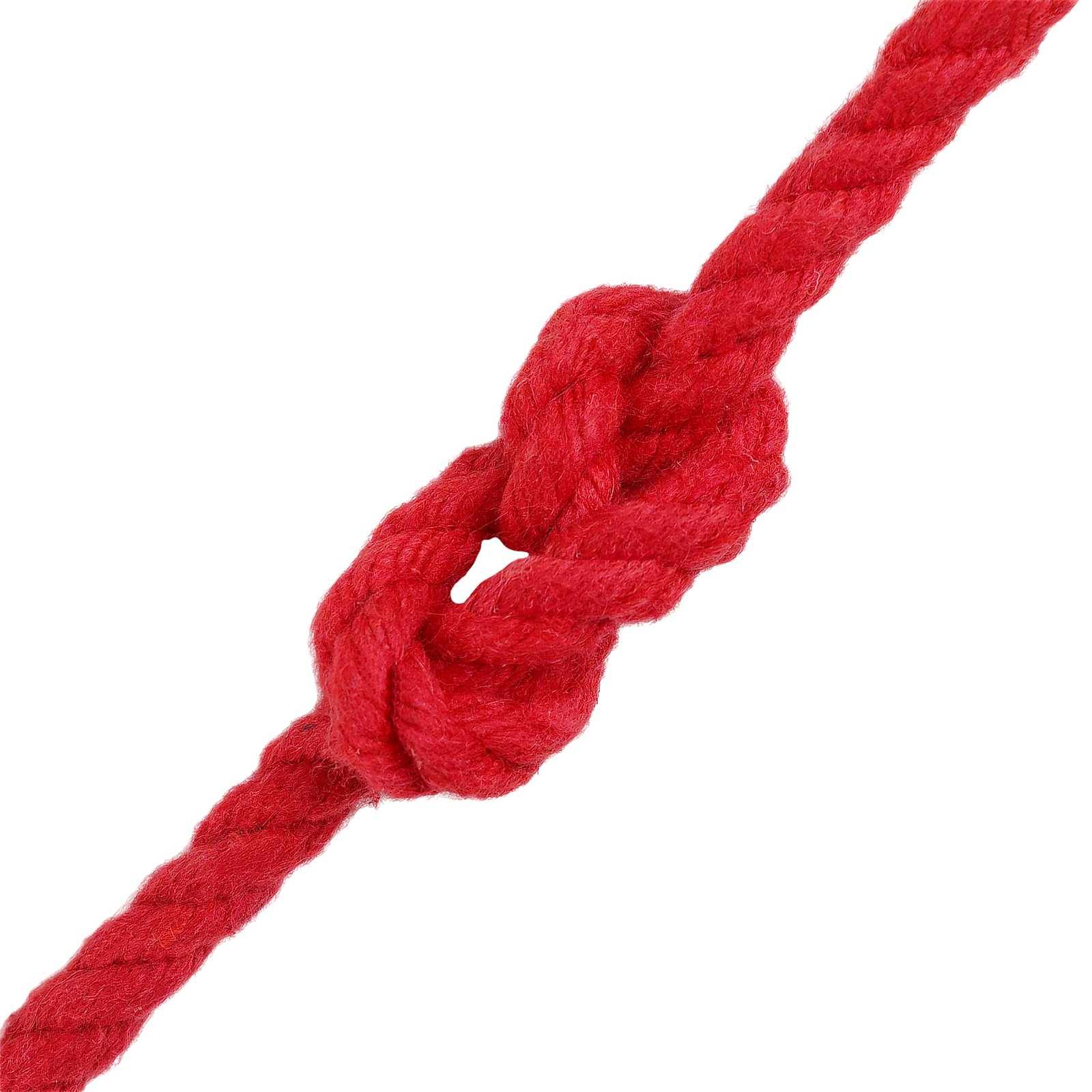 vidaXL Seil 2 pcs Rot Baumwolle