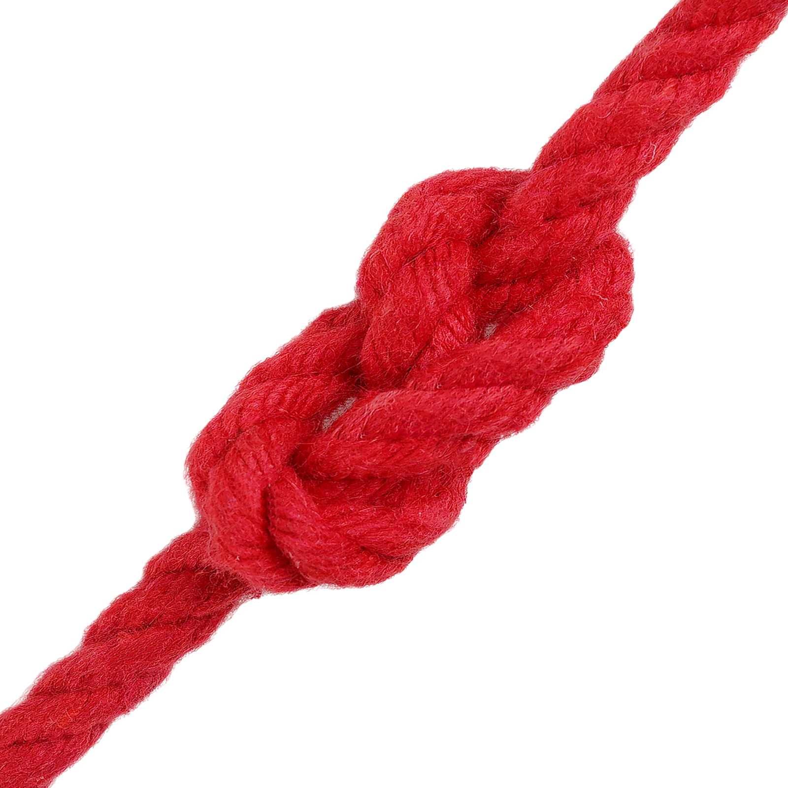 vidaXL Seil Rot 0,6 x 0,6 x 10000 cm Baumwolle