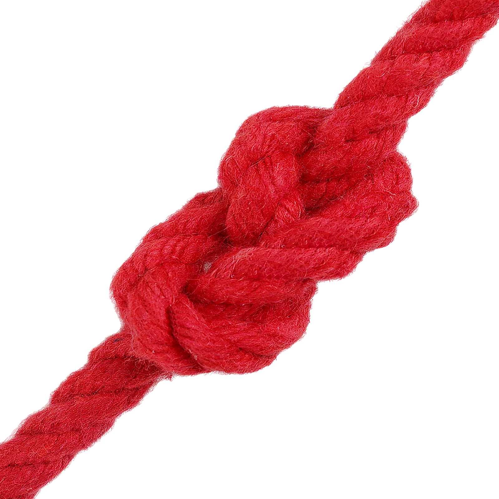 vidaXL Seil Rot 0,8 x 0,8 x 5000 cm Baumwolle