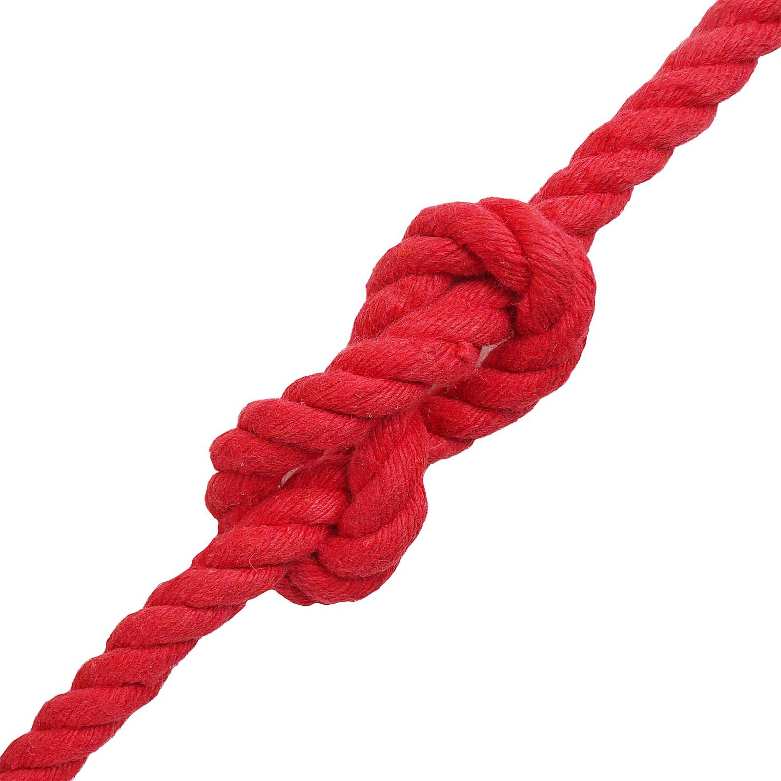 vidaXL Seil Rot 1 x 1 x 2500 cm Baumwolle