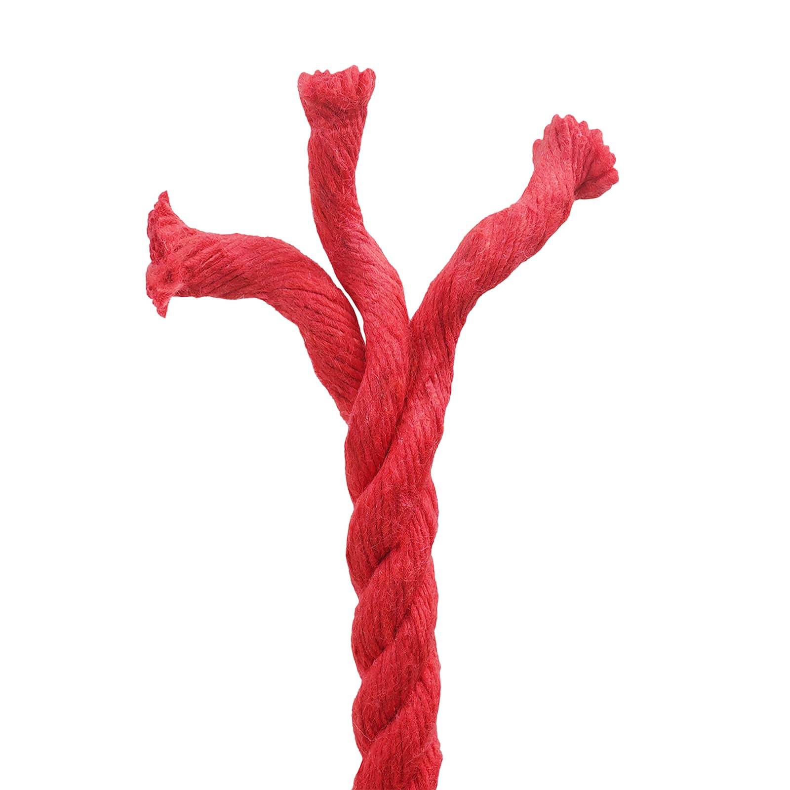 vidaXL Seil Rot 1 x 1 x 2500 cm Baumwolle
