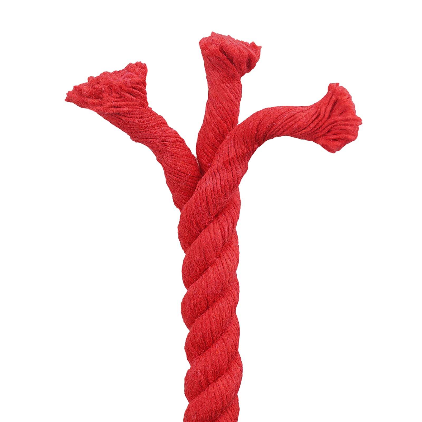 vidaXL Seil Rot 2,4 x 2,4 x 2500 cm Baumwolle