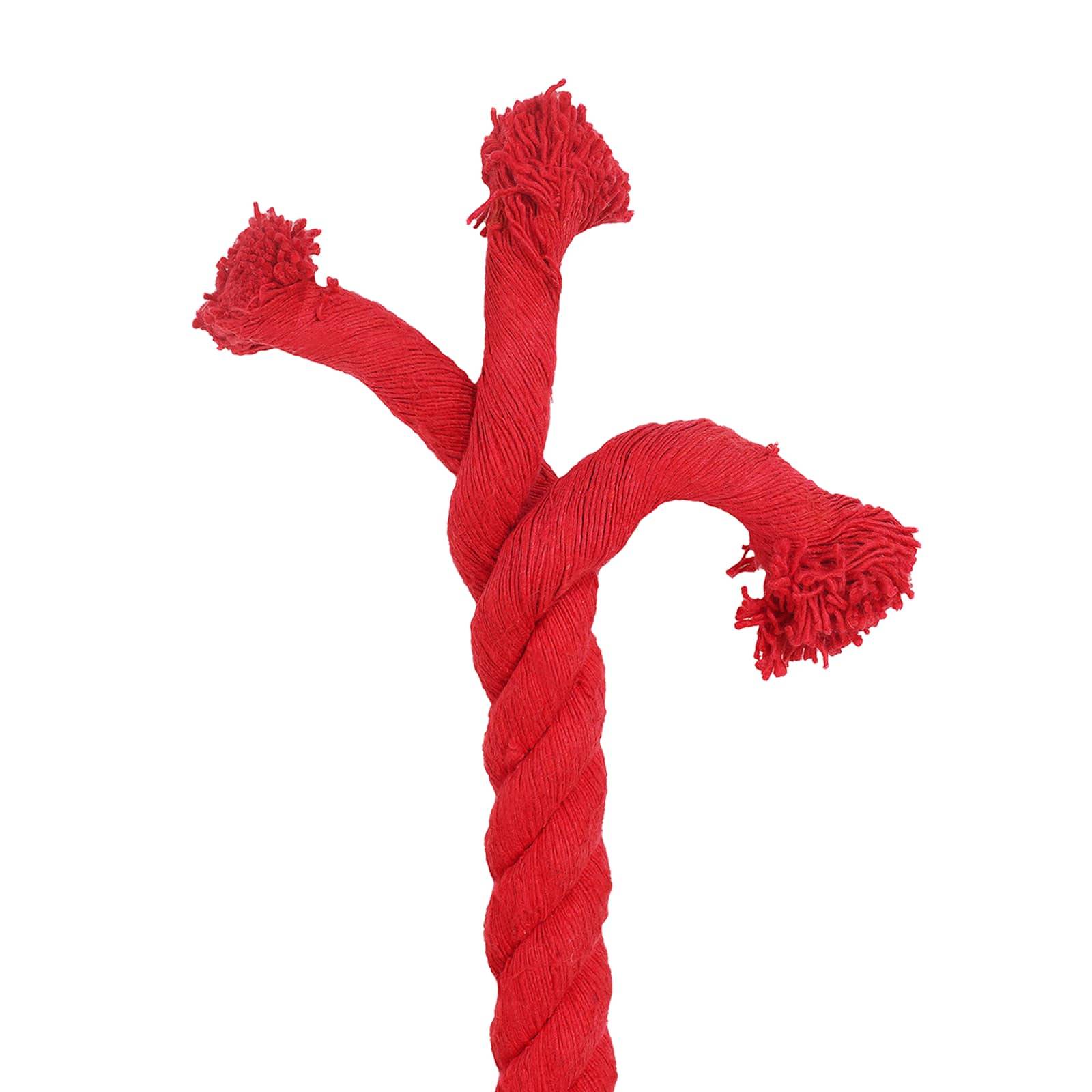 vidaXL Seil Rot 3,6 x 3,6 x 500 cm Baumwolle