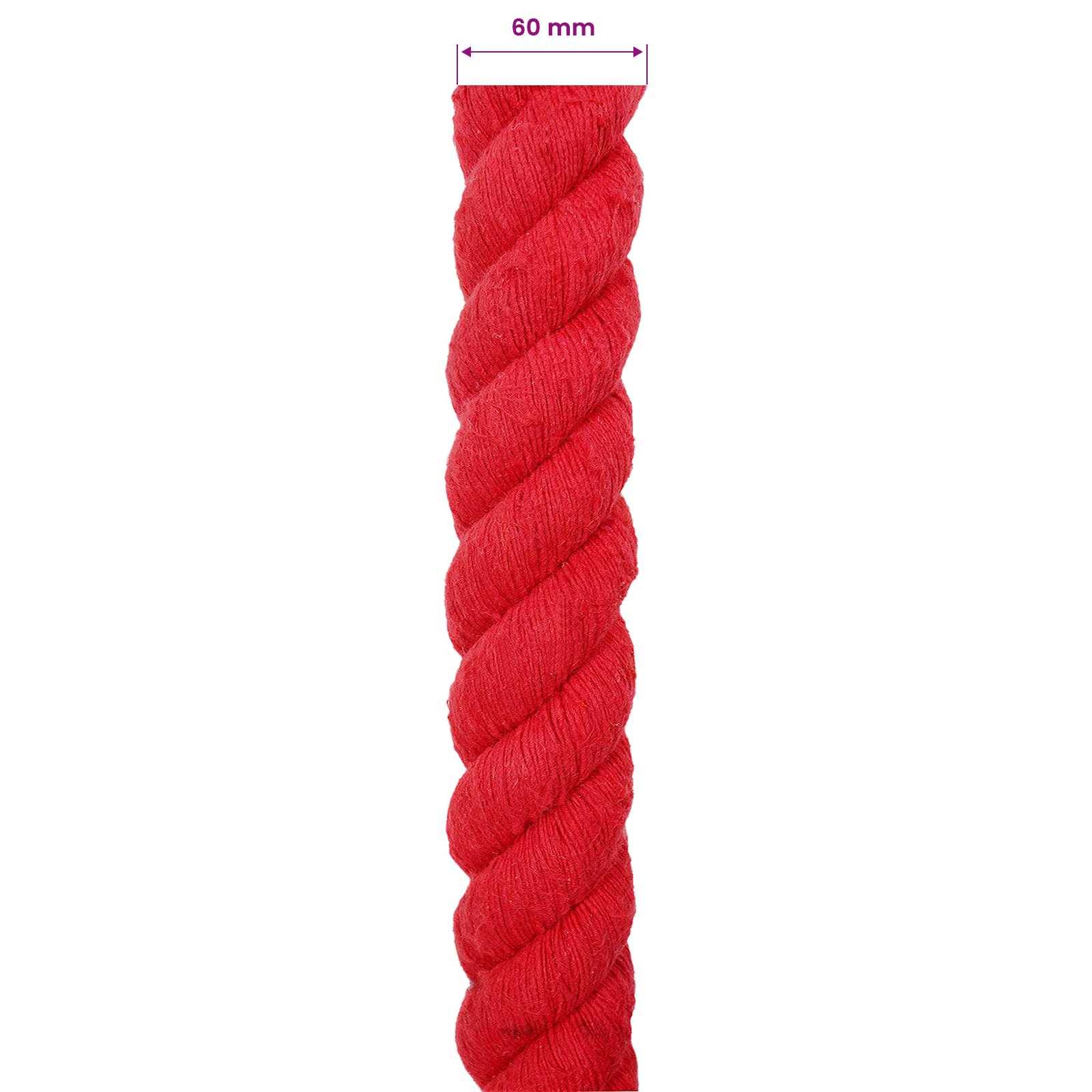 vidaXL Seil Rot 6 x 6 x 500 cm Baumwolle