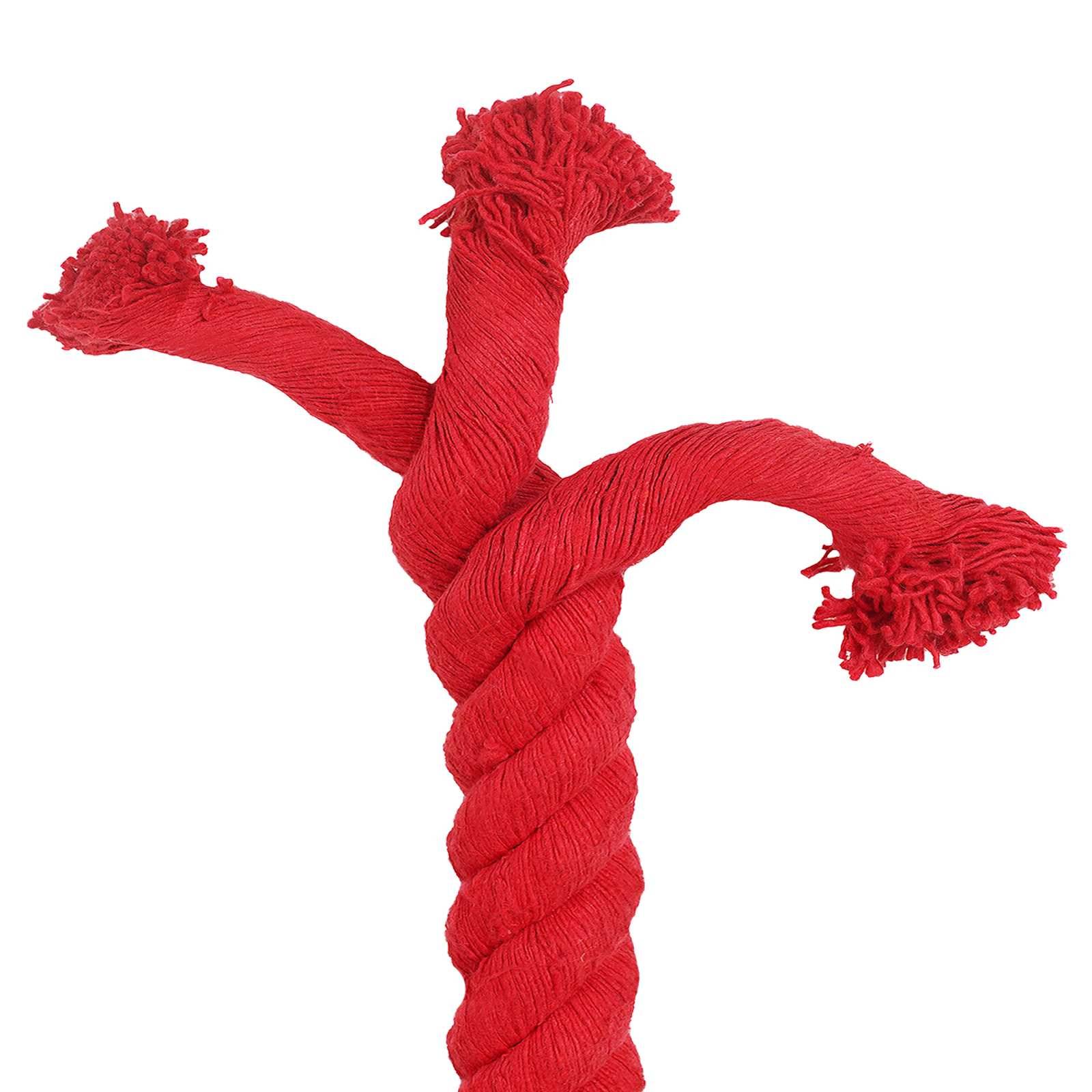 vidaXL Seil Rot 6 x 6 x 500 cm Baumwolle