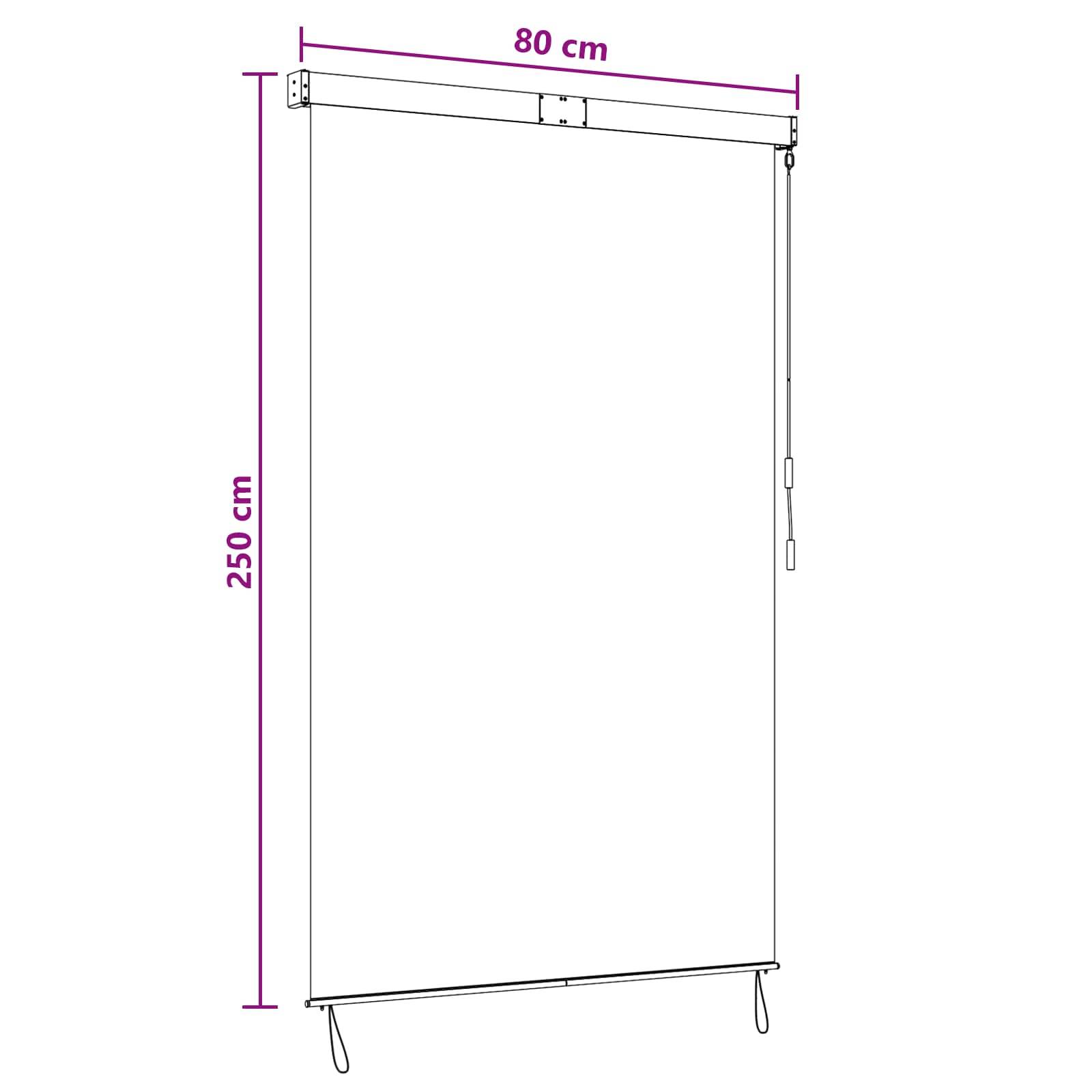 vidaXL Rollo Schwarz 80 x 250 cm Stoff und Aluminium