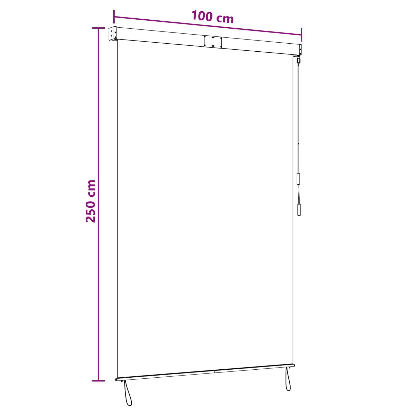 vidaXL Rollo Mehrfarbig 100 x 250 cm Stoff und Aluminium