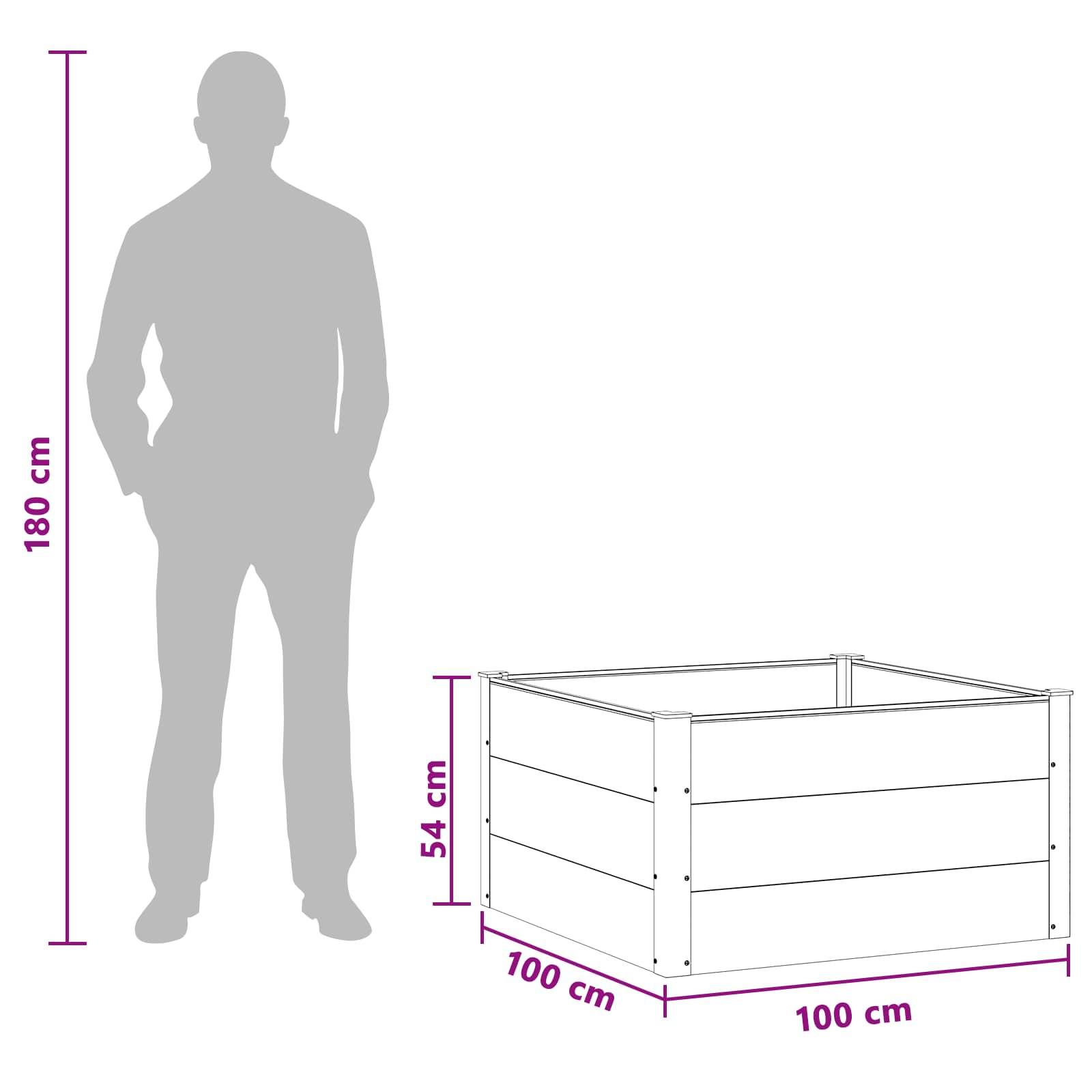 vidaXL Hochbeet Schwarz 100 x 100 x 54 cm alu.