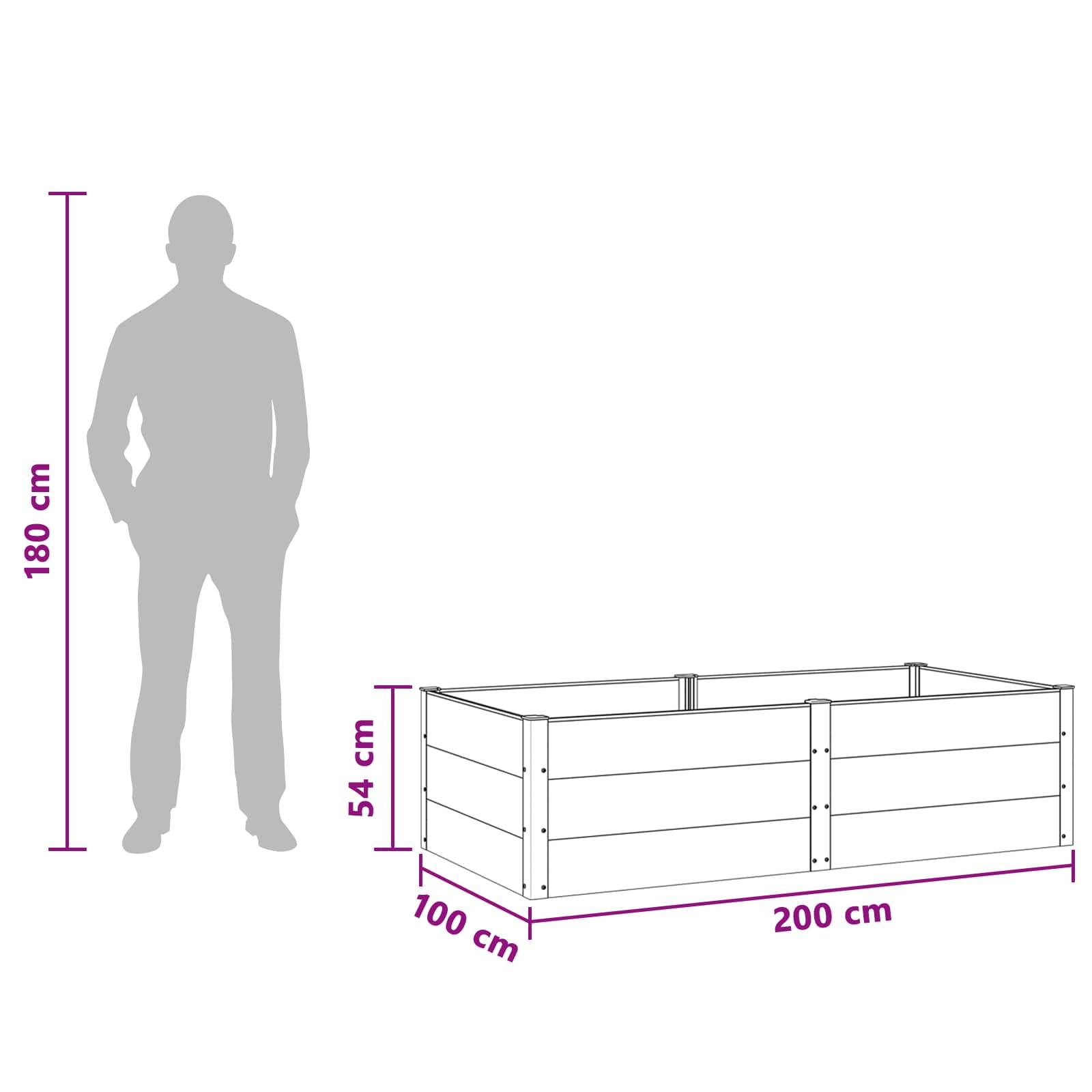 vidaXL Hochbeet Schwarz 200 x 100 x 54 cm alu.