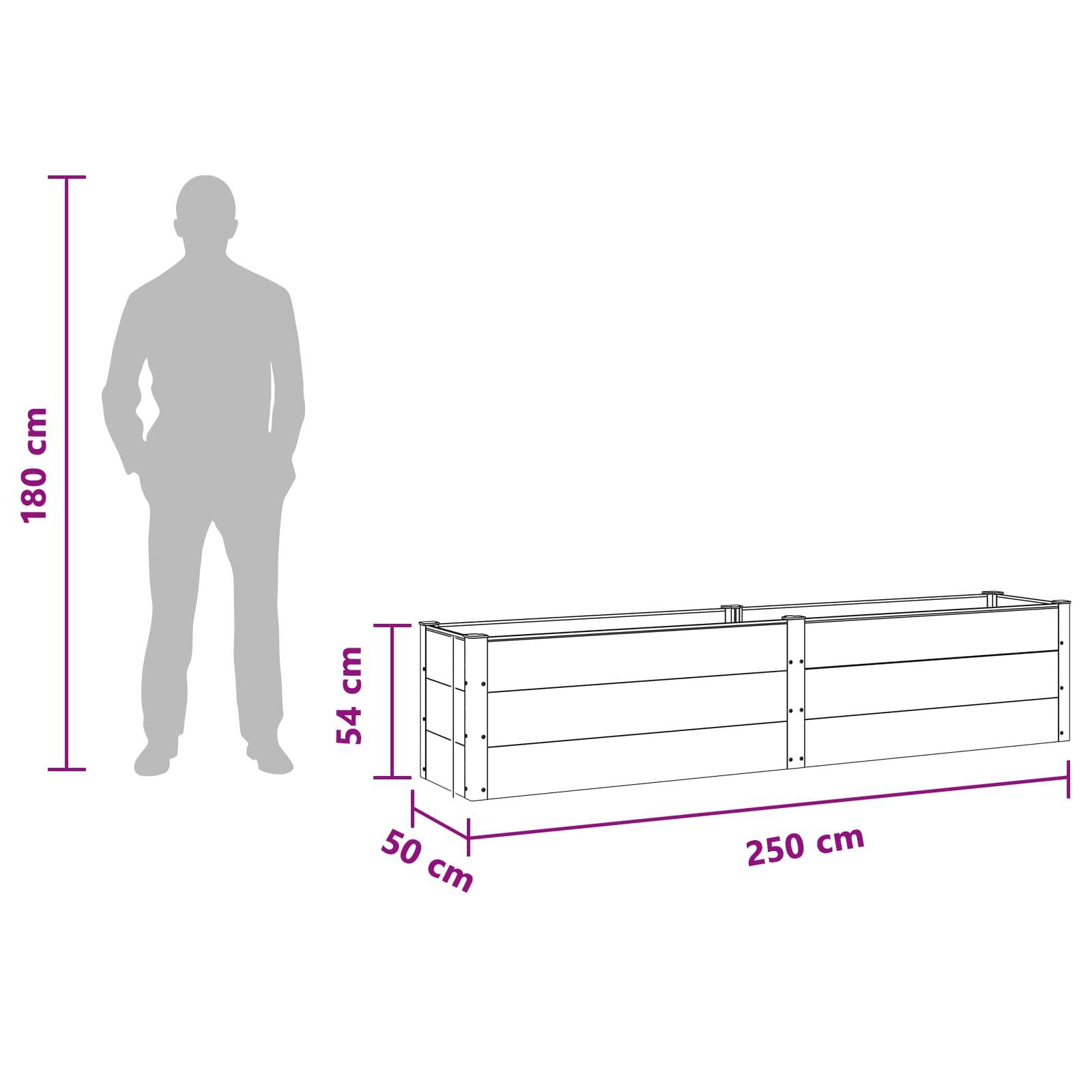 vidaXL Hochbeet Schwarz 250 x 50 x 54 cm alu.
