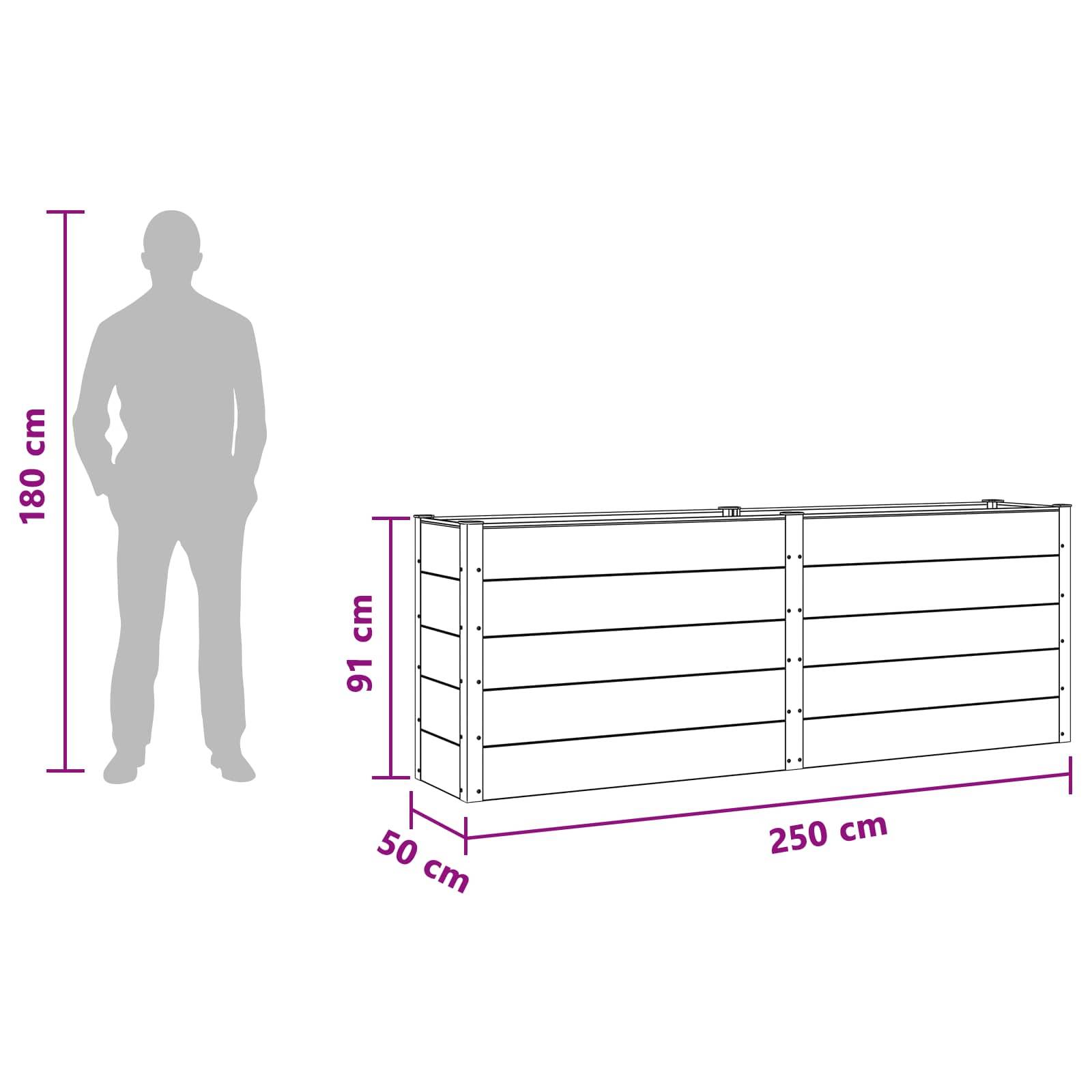 vidaXL Hochbeet Schwarz 250 x 50 x 91 cm alu.