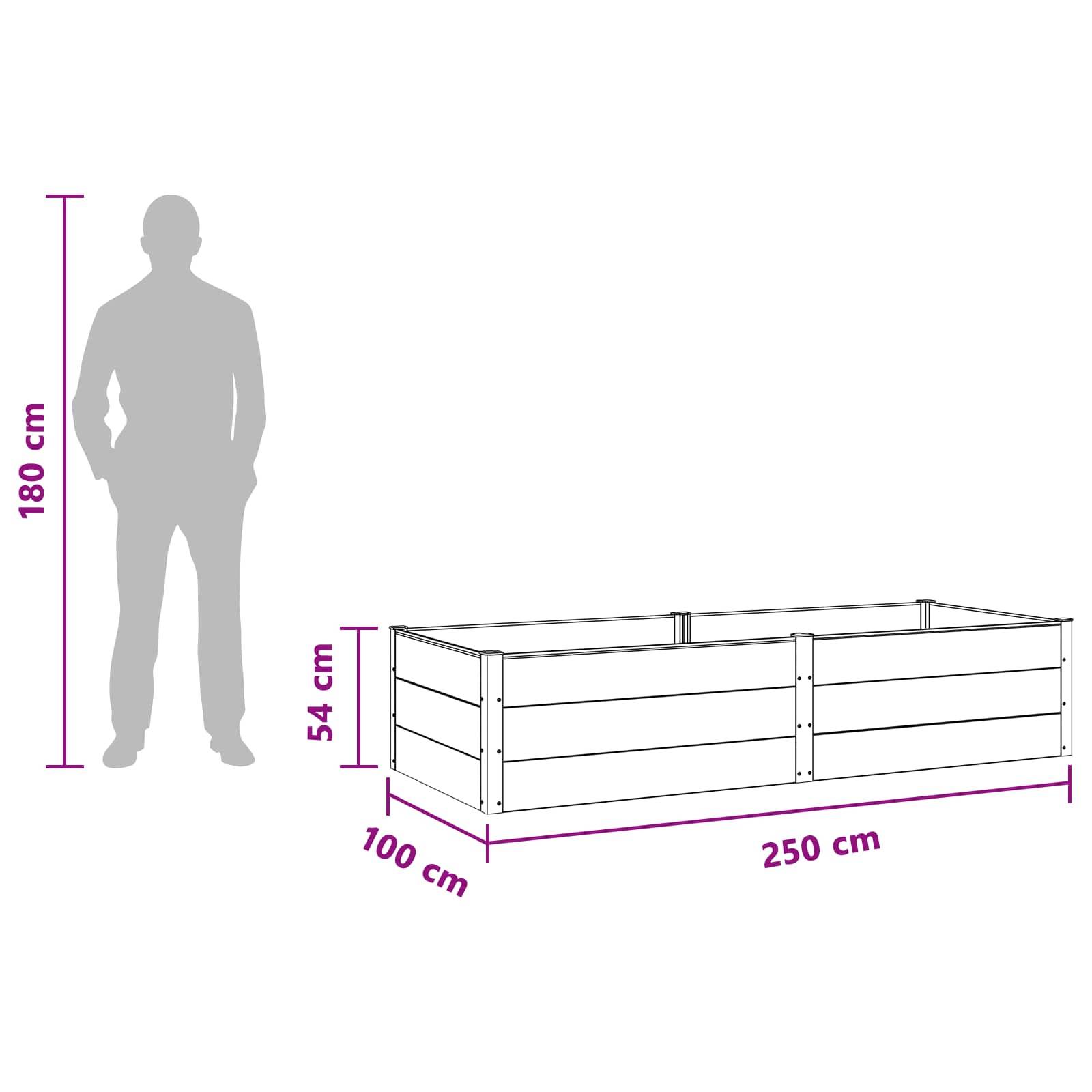 vidaXL Hochbeet Schwarz 250 x 100 x 54 cm alu.