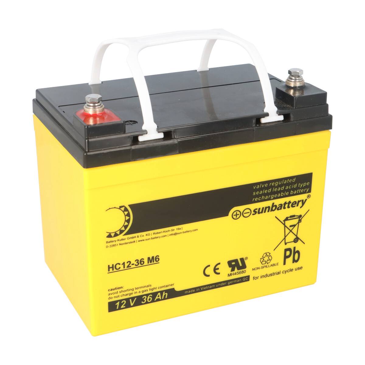 SUN Battery AGM Akku 12V 36Ah High Cycle zyklenfest – F-M6 Schraubanschluss (195×130×168mm)