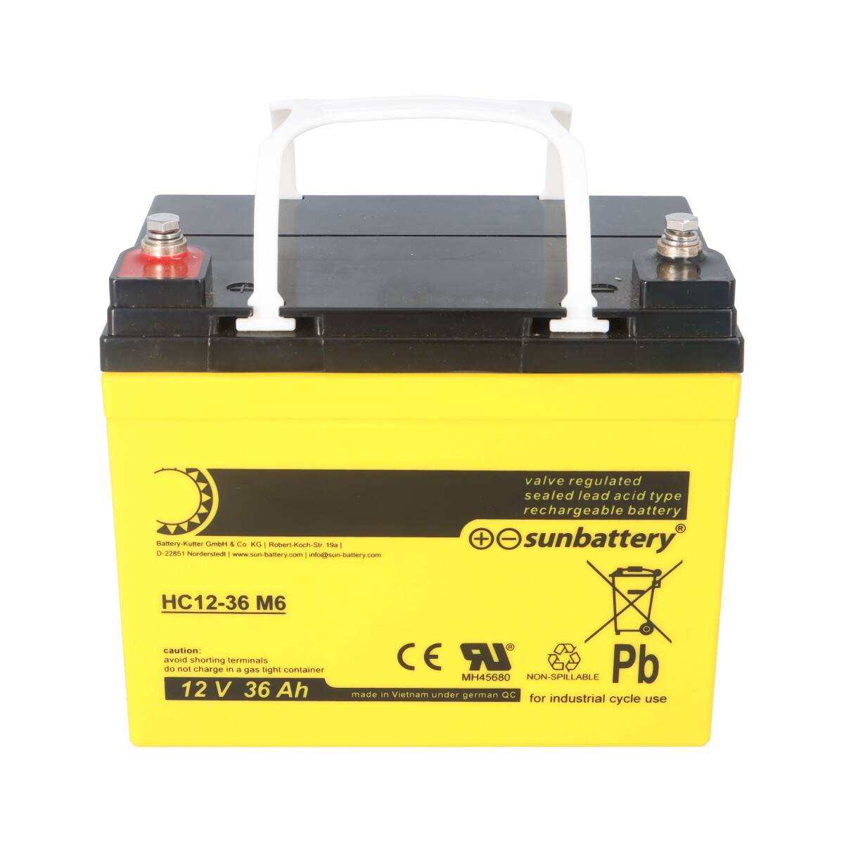SUN Battery AGM Akku 12V 36Ah High Cycle zyklenfest – F-M6 Schraubanschluss (195×130×168mm)