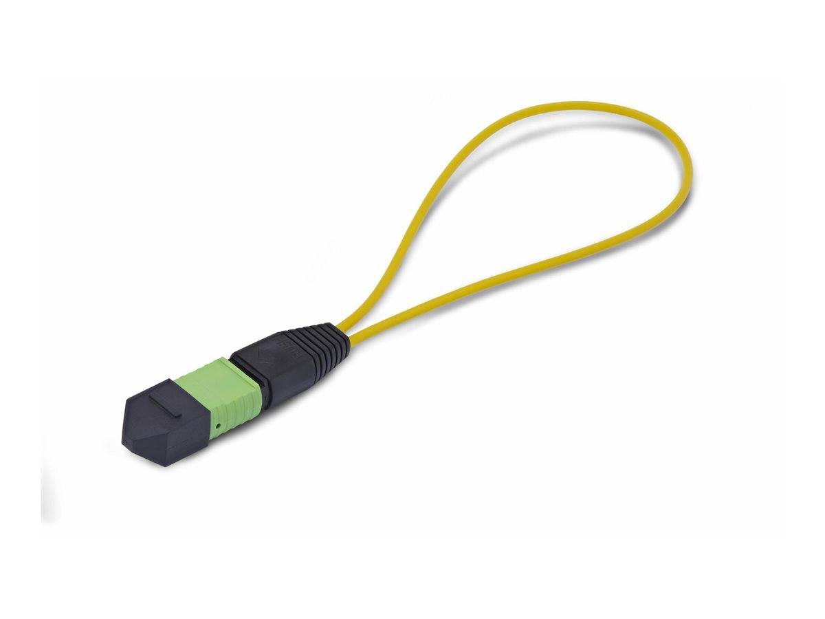 StarTech.com Startech - Loopback-Adapter - TAA-konform - MPO-12 Single-Mode