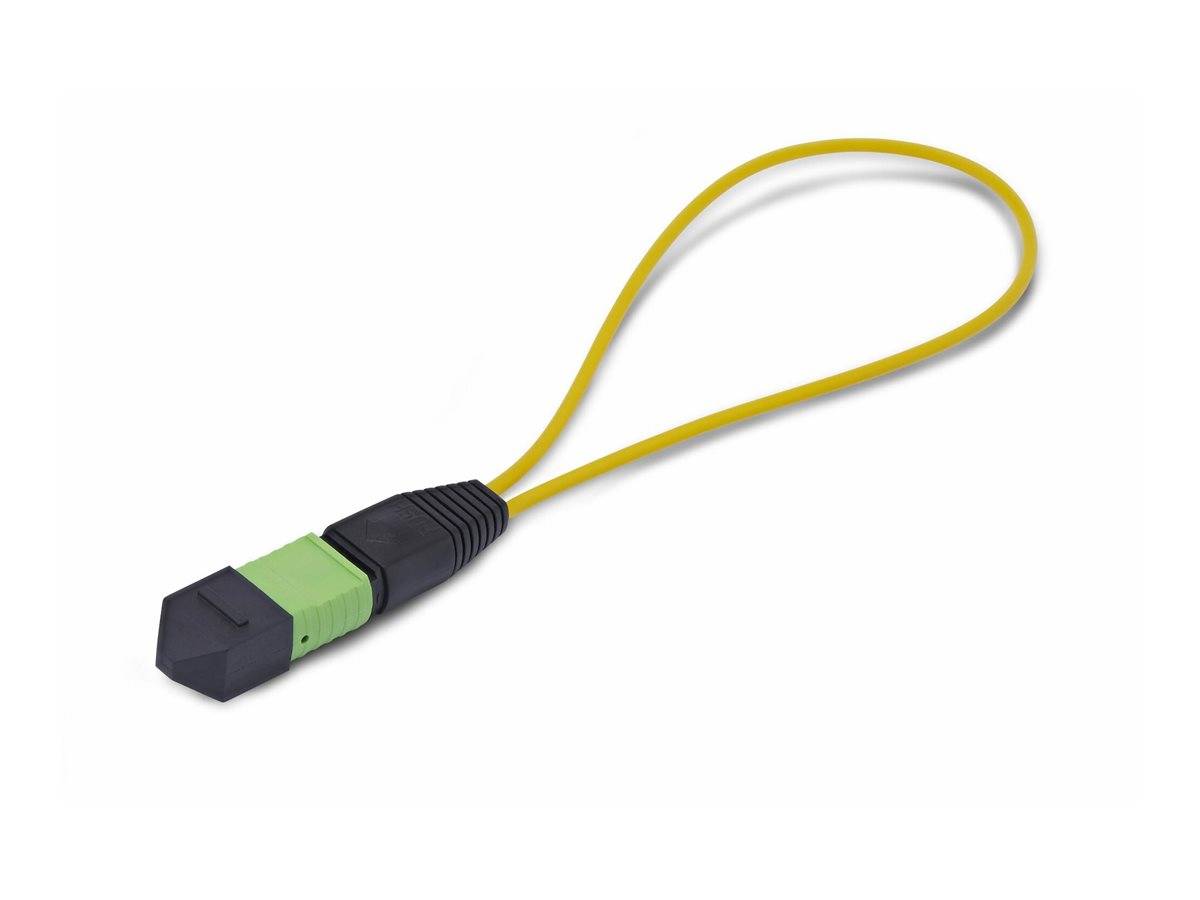 StarTech.com Startech - Loopback-Adapter - TAA-konform - MPO-12 Single-Mode