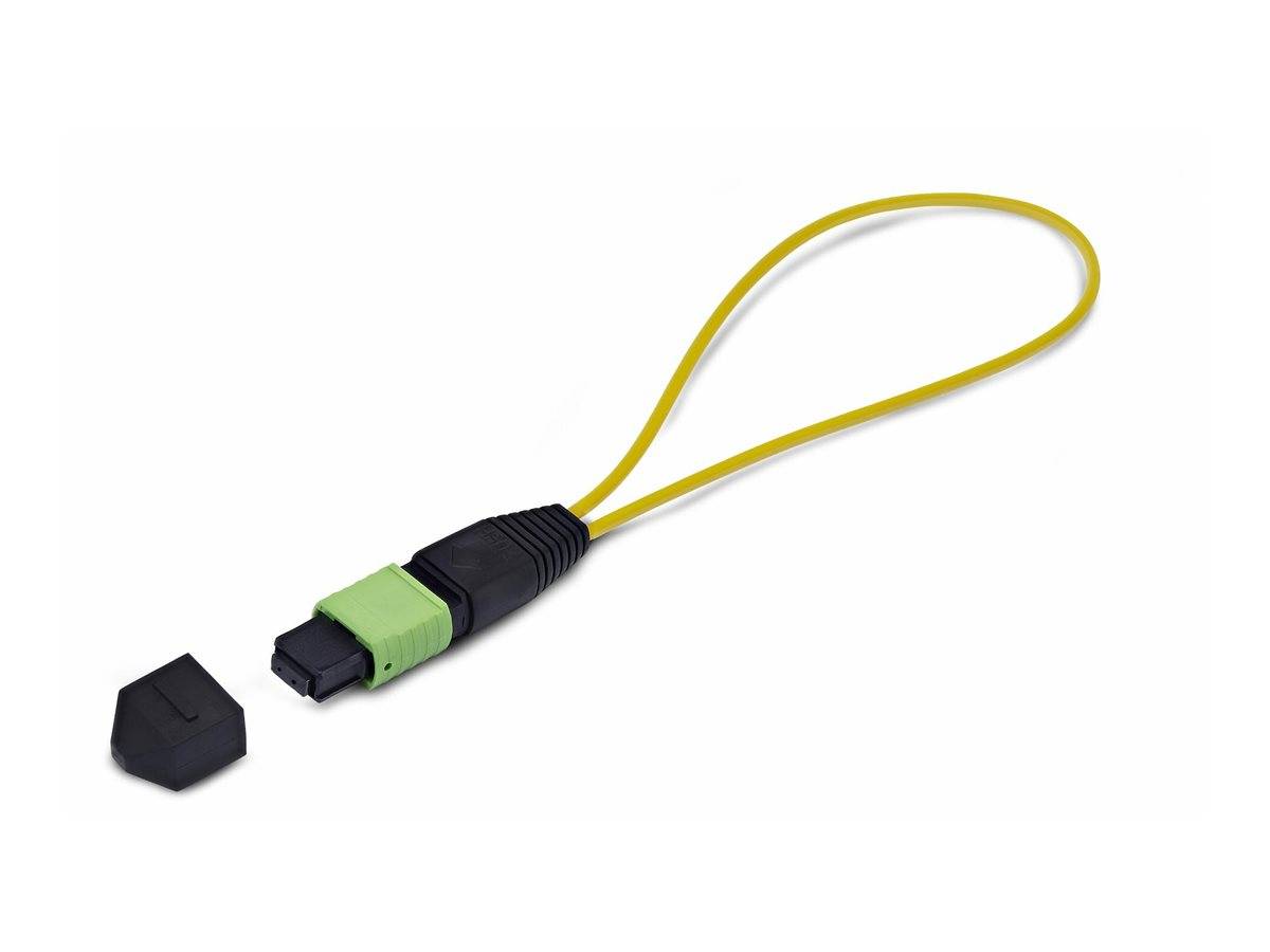 StarTech.com Startech - Loopback-Adapter - TAA-konform - MPO-12 Single-Mode