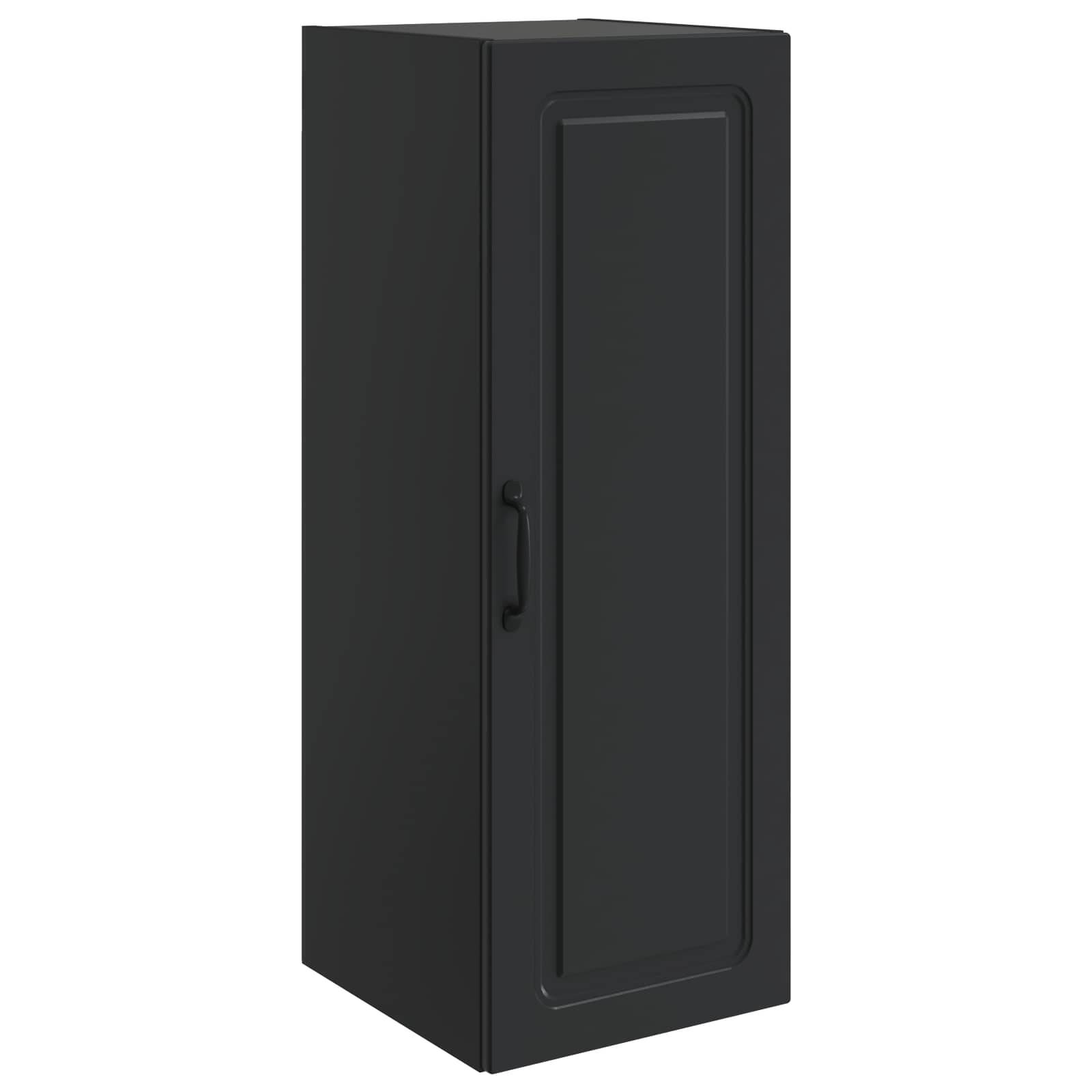 Schwarzer hoher Lagerschrank mit einer einzelnen Vordertür und Griff, isoliert auf weißem Hintergrund dargestellt.