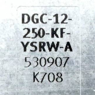 FESTO Lineareinheit 530907 (DGC-12-250-KF-YSRW-A)