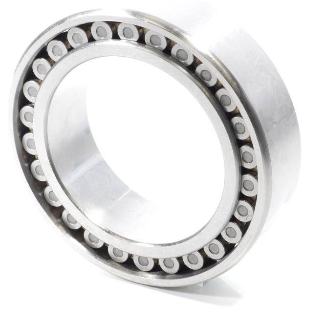 NSK Doppel-Reihiges Zylinderrollenlager WB-18 (NN3022TBKRCC0P4)