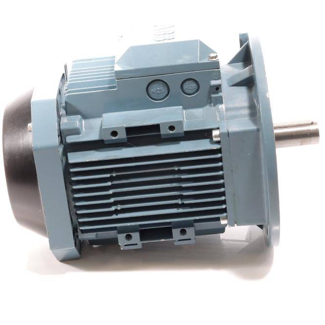 ABB Elektromotor (M2AA100LA-4)