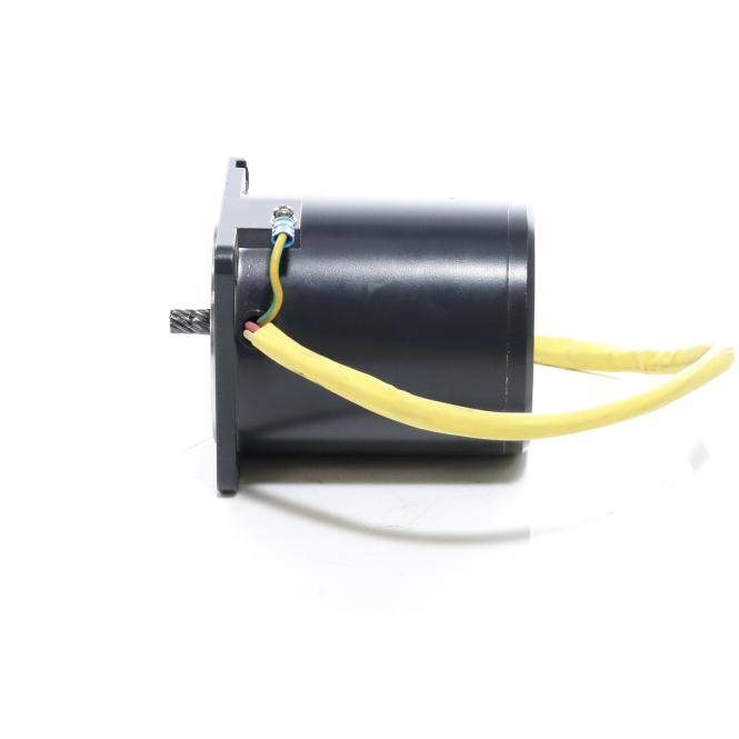 Oriental Motor Motor (5TK20GN-CW2)