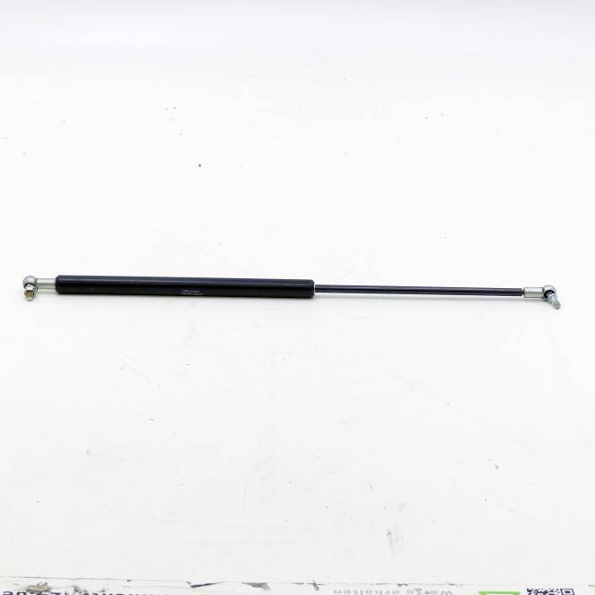 ACE Gasdruckfeder (GS-22-250-CC / 270N)