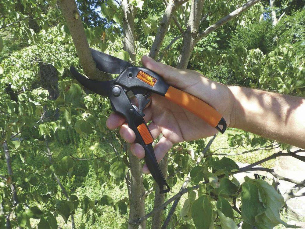 Power-Gleitschere Primus mit Rollenübersetzung