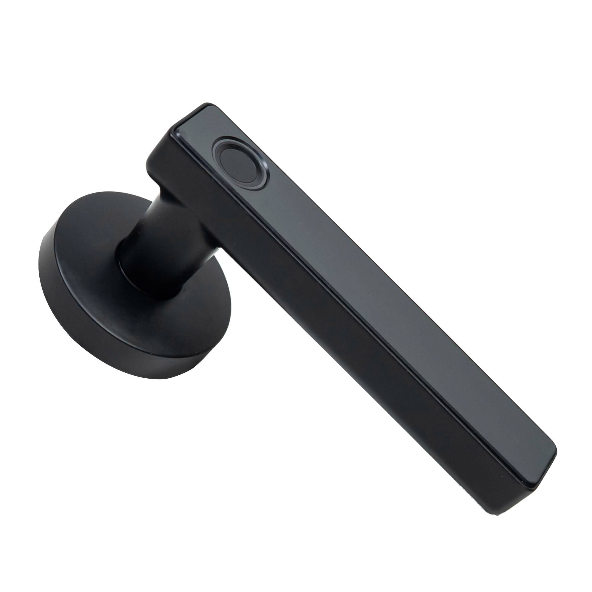 Yala Intelligente PNI SafeHome PTY800 Fingerabdruck, Code, Tuya Smart App, Bluetooth