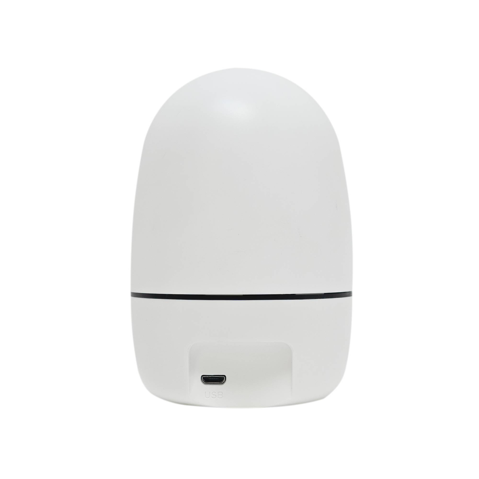 Videoüberwachungskamera PNI IP7717