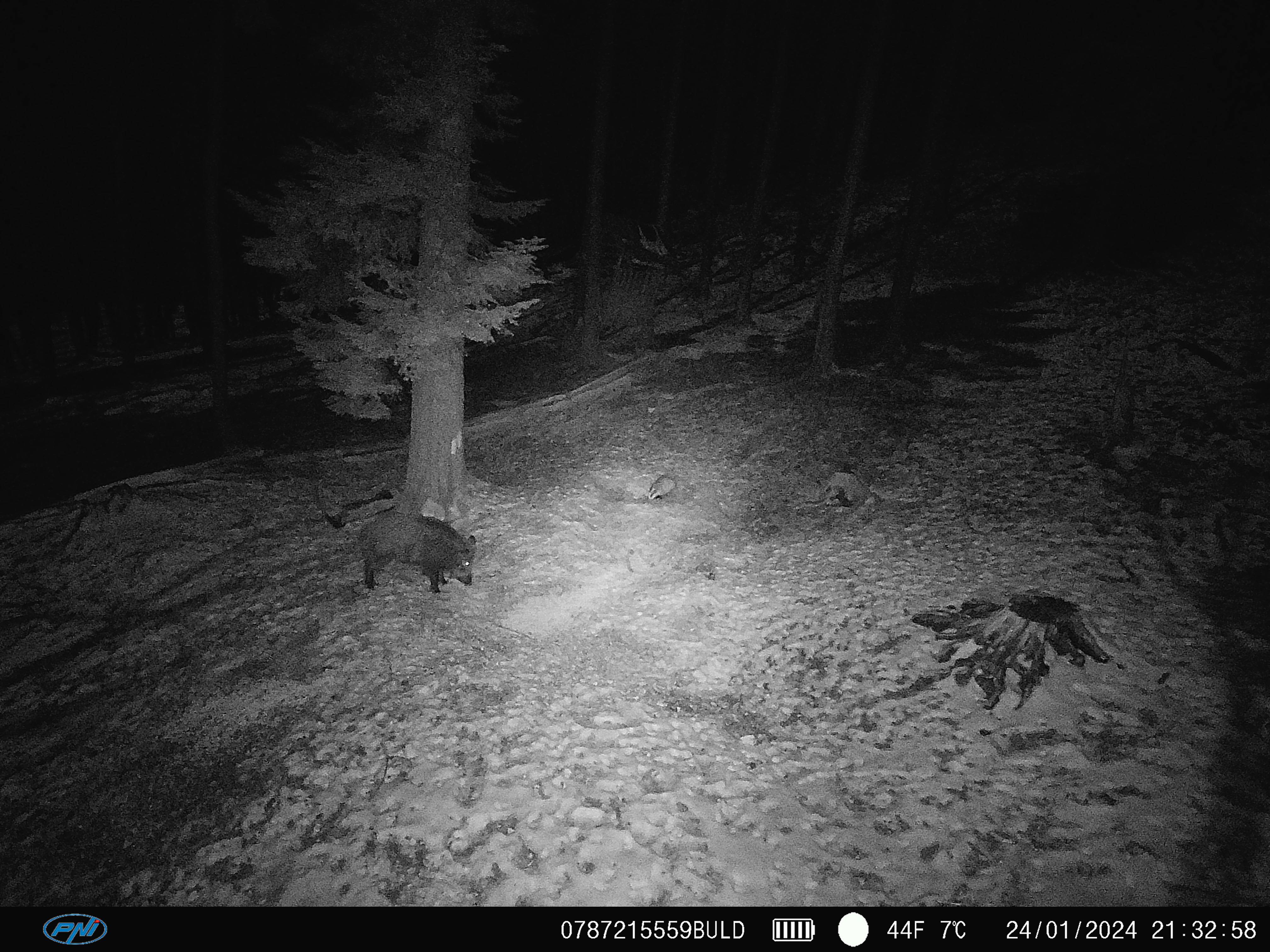 PNI Hunting 400C PRO 24MP Jagdkamera mit 4G LTE Internet, GPS, gleichzeitige Übertragung von Video und Foto auf das Telefon, 4 E-Mails, FTP, Full HD