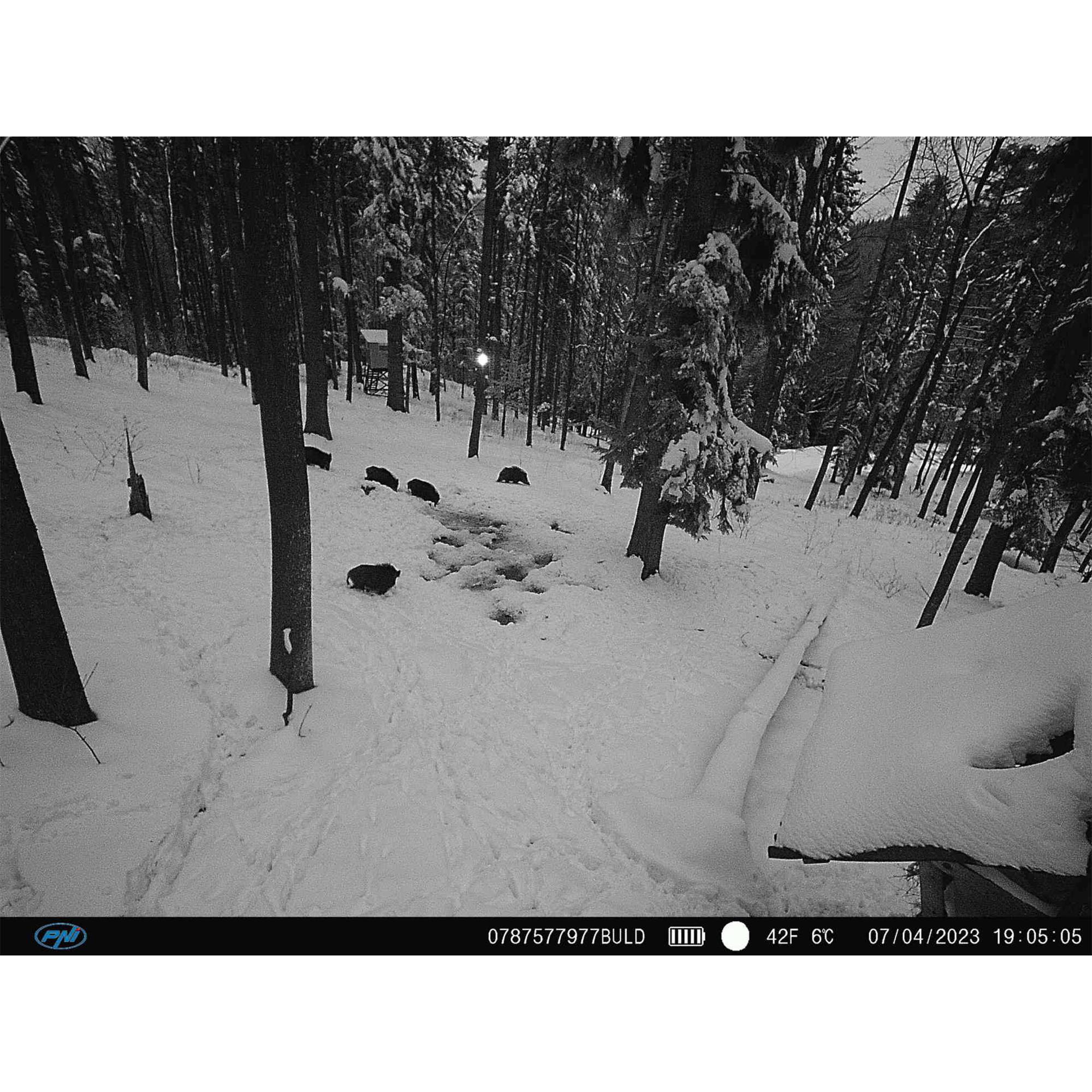 PNI Hunting 400C PRO 24MP Jagdkamera mit 4G LTE Internet, GPS, gleichzeitige Übertragung von Video und Foto auf das Telefon, 4 E-Mails, FTP, Full HD