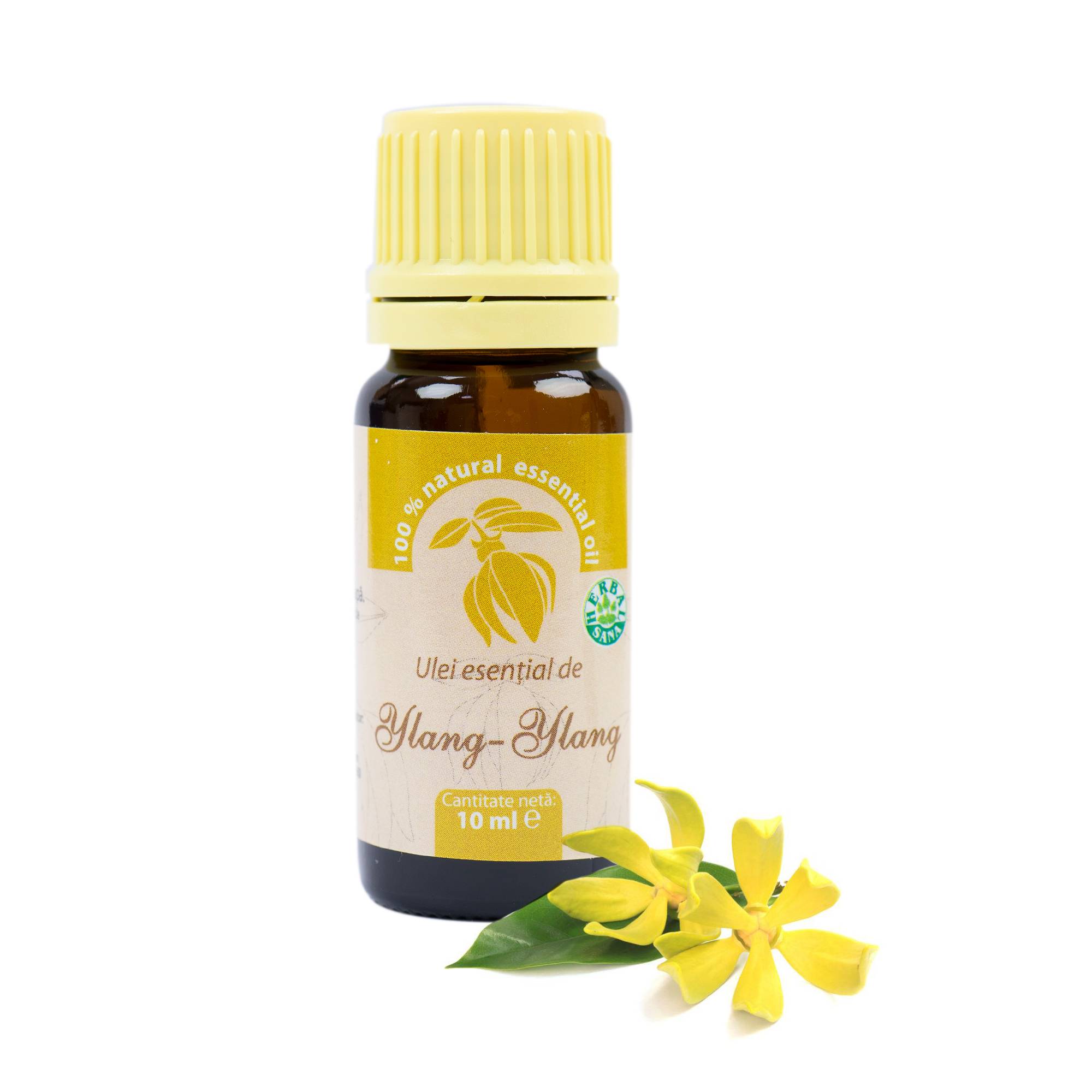 Ylang-Ylang ätherisches Öl (Cananga odorata), 100% rein ohne Zusatz, 10 ml